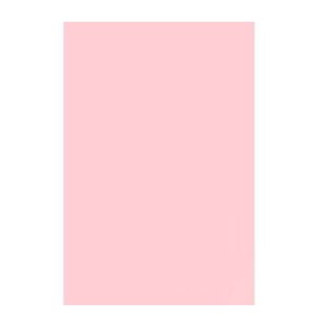 SULFITE A4 210X297 75G ROSA 100 FLS SENINHA/CHAMEQUINHO