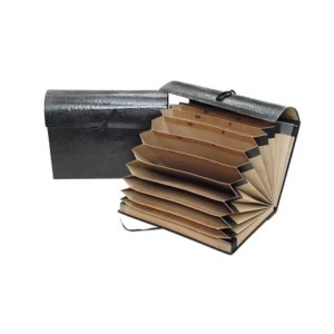 PASTA SANFONADA DUPLICATA 31 DIVISÓRIAS REF.1002 DELUCAS